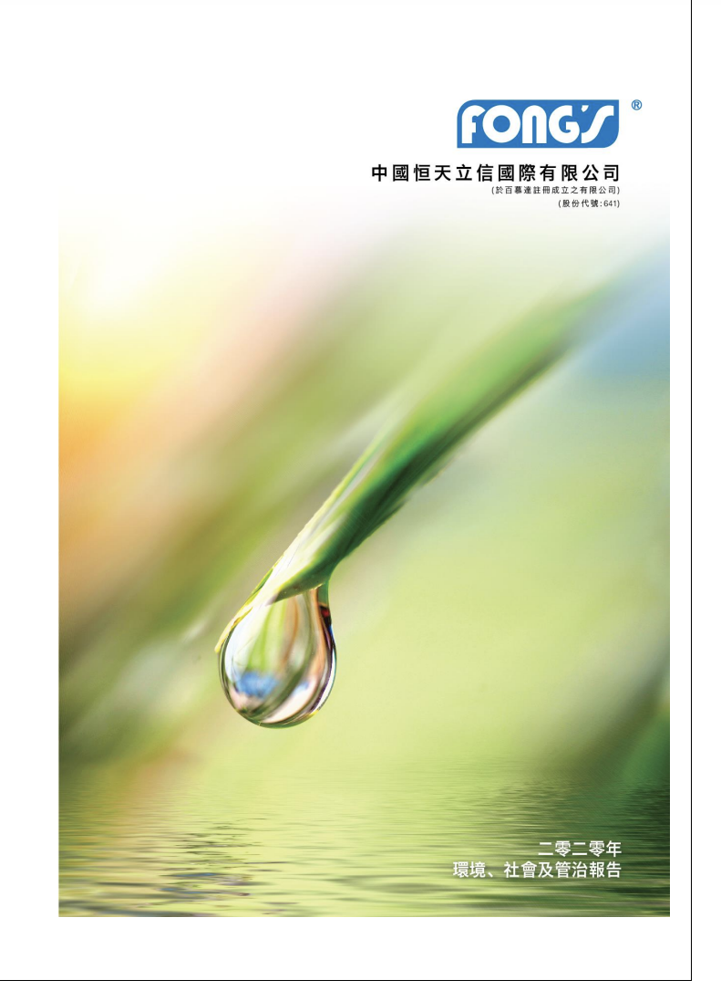 二零二零年环境、社会及管治报告
